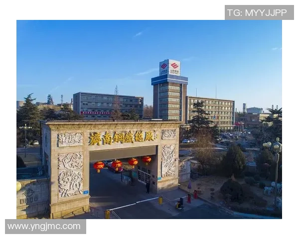 武汉羽毛球队转型之路的纪实探讨与发展历程回顾